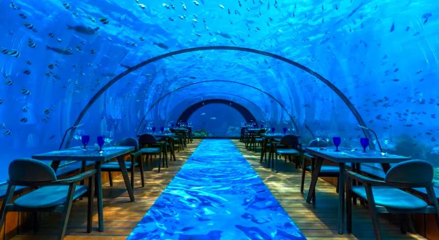 Dine amidst the ocean’s wonders at the world’s largest all-glass underwater restaurant