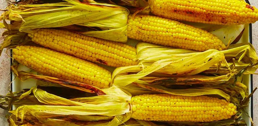 I Asked Three Farmers How to Choose the Sweetest Corn and Discovered Something Surprising