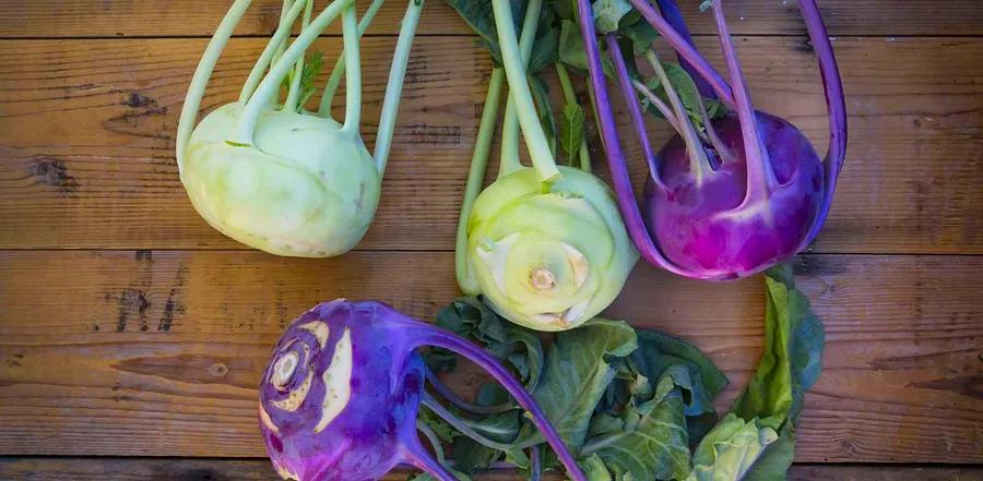 What is Kohlrabi?