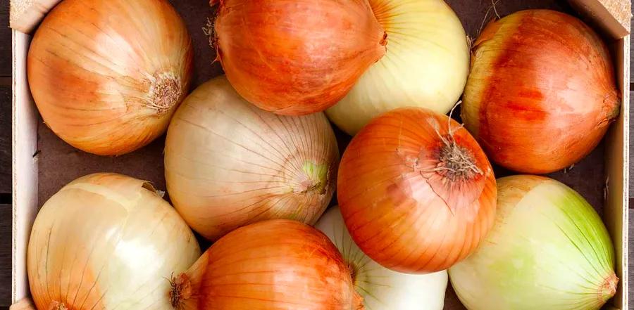 The Simplest Way to Make Onions More Palatable