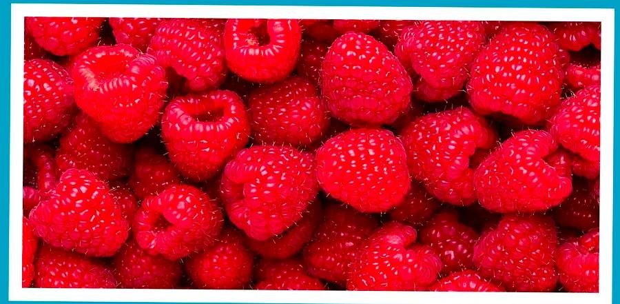 How to Store Raspberries for Maximum Freshness