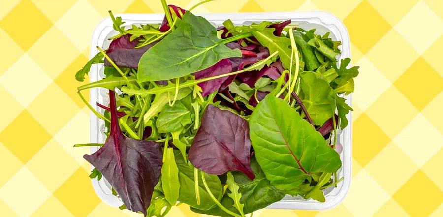 Attention: Here’s Why Spring Mix Spoils So Fast