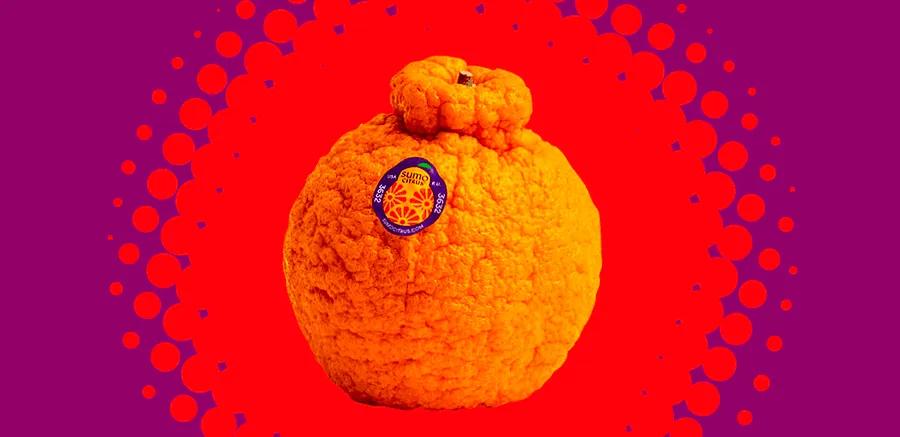 Why Sumo Mandarins Are So Pricey—but I Can't Resist Them