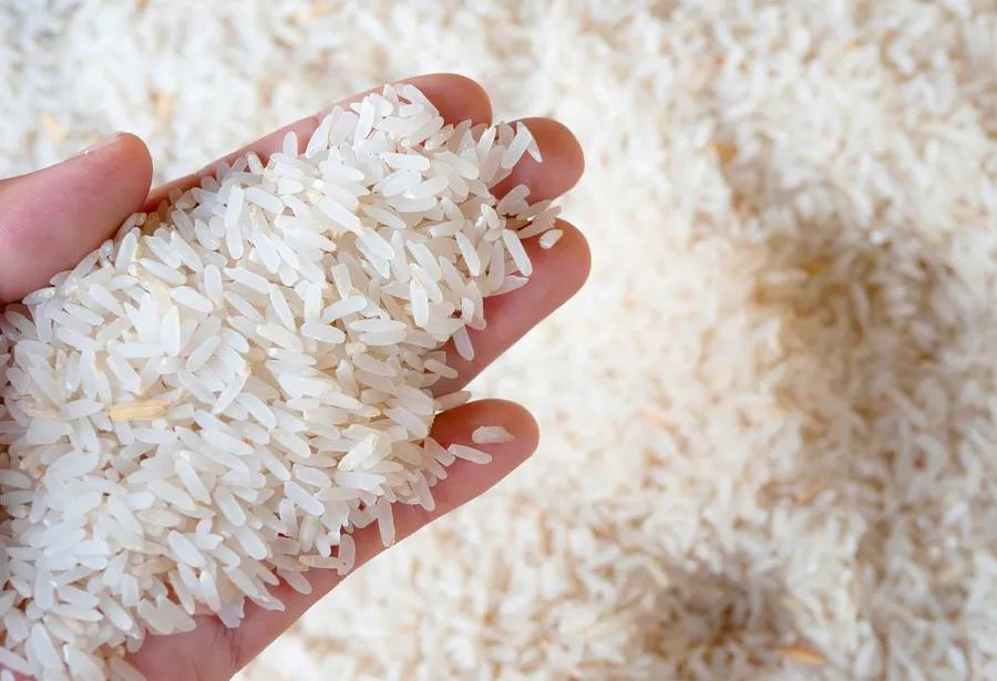 What Is Calrose Rice?