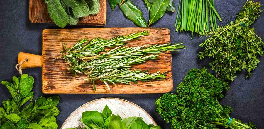 Top Rosemary Alternatives When You're Out of the Real Thing