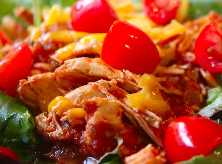 Slow Cooker Spicy Chicken Delight