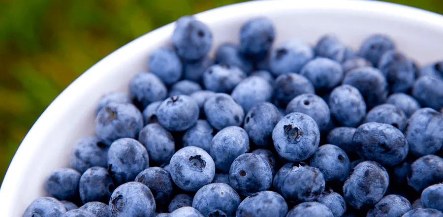 How Many Blueberries Are in a Cup?