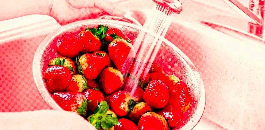 Yes, Strawberries Can Have Bugs—Here’s How to Get Rid of Them