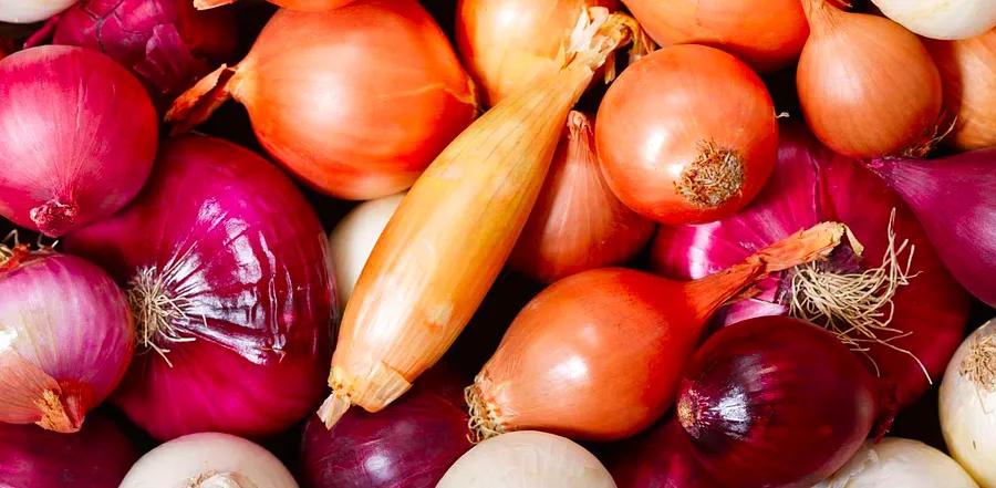 Shallots vs. Onions: Key Differences You Should Know