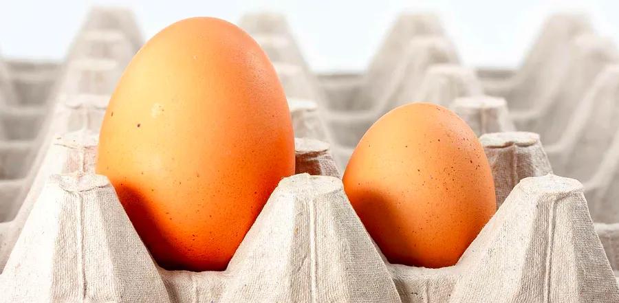 Does Egg Size Really Affect Cooking Outcomes?