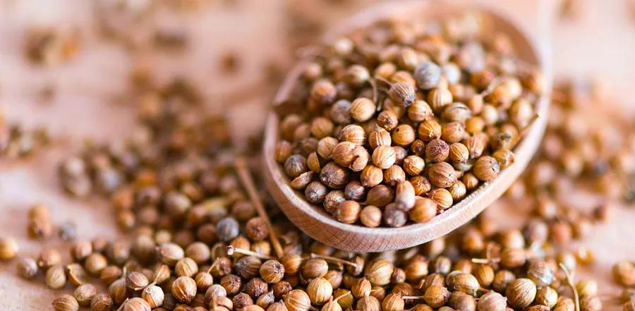 Top 3 Coriander Substitutes You Need to Know