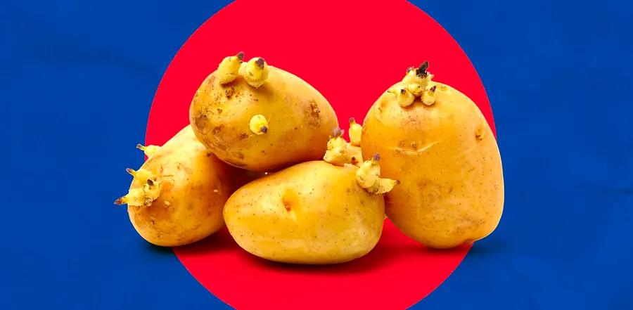 A Potato Expert Explains: The Ultimate Method to Keep Your Potatoes From Sprouting