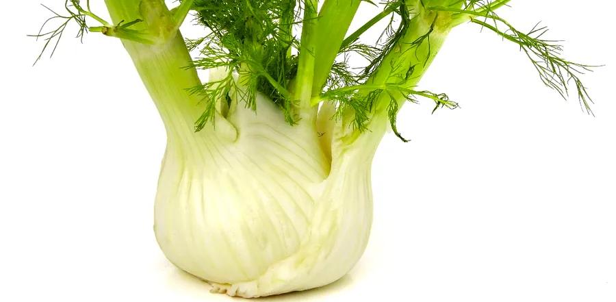 Top 5 Alternatives for Fennel