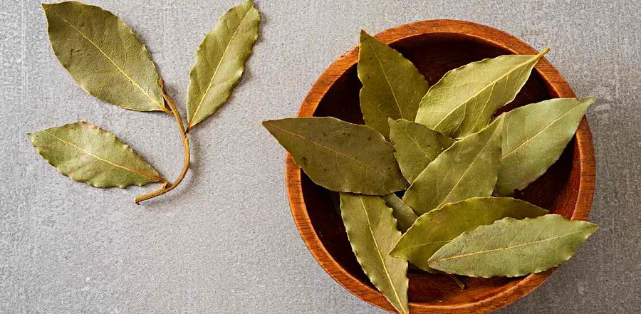 Out of Bay Leaves? Here Are 4 Easy Substitutes You Can Use