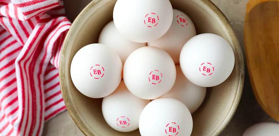 Eggland's Best Resolves the Big Question: How Long Can Eggs Be Left Out on the Counter?