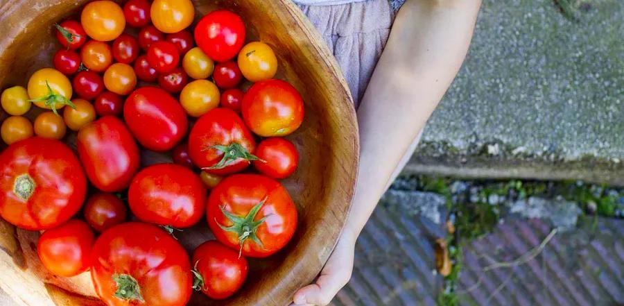 You Might Be Overlooking the Best Way to Use Tomatoes