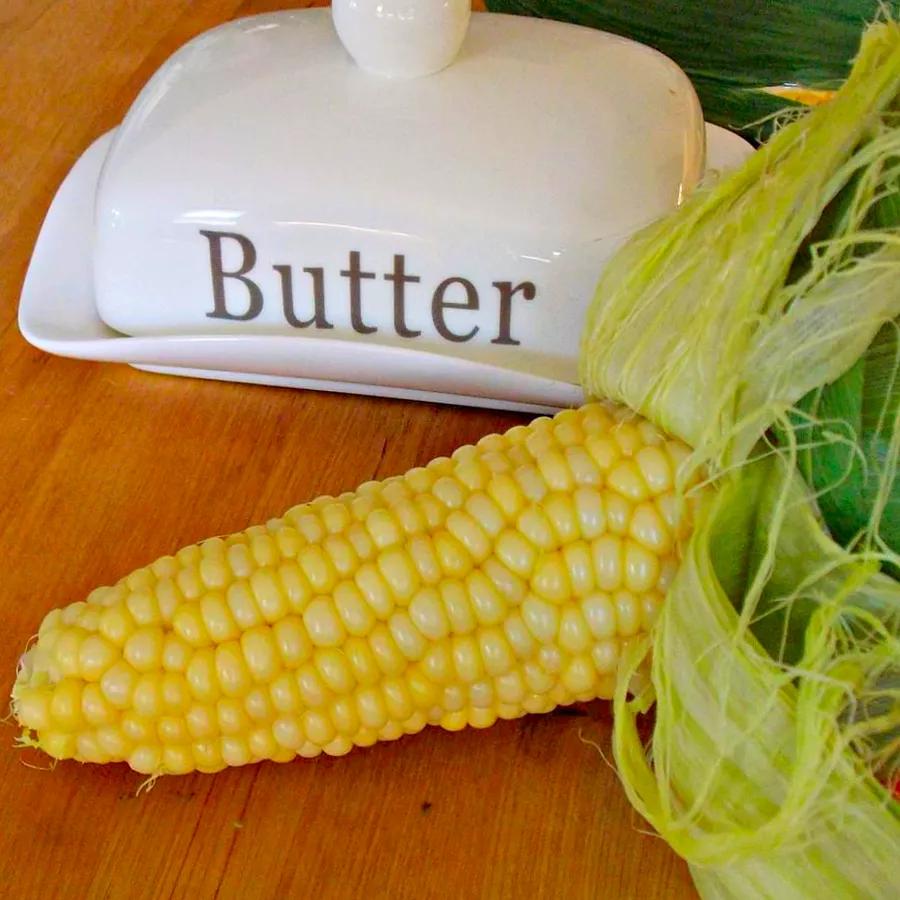 Microwaving Corn on the Cob with Husk