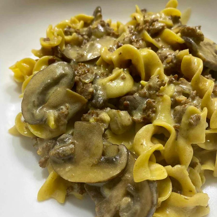 Instant Pot Ground Beef Stroganoff Recipe