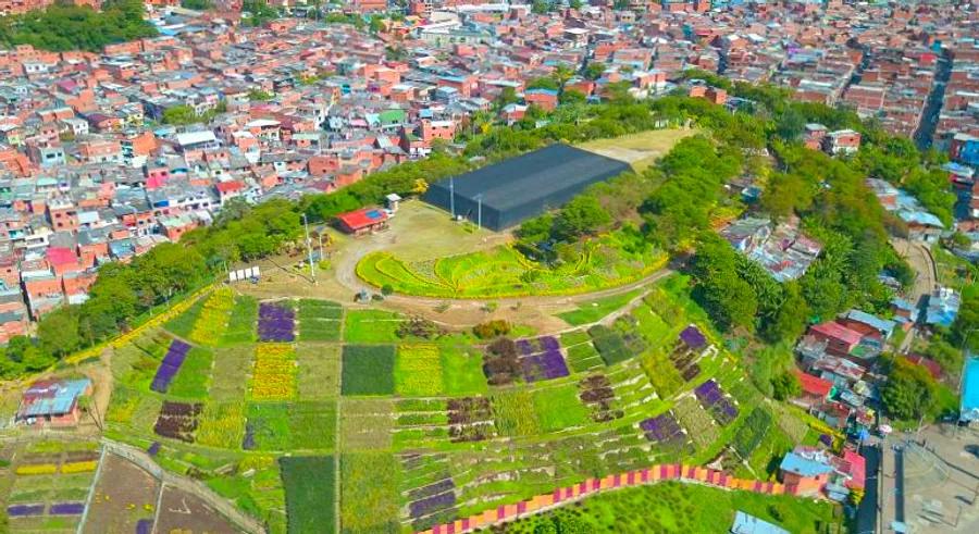 The transformation of a Medellín neighborhood: From landfill to thriving community