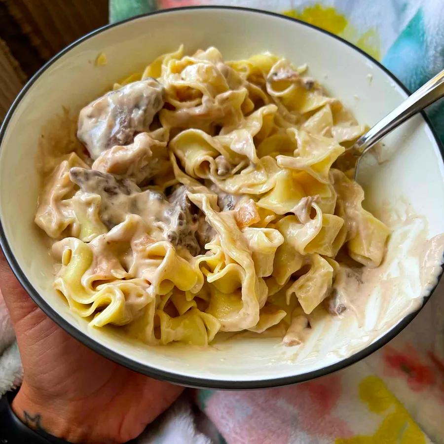 Venison Stroganoff Delight