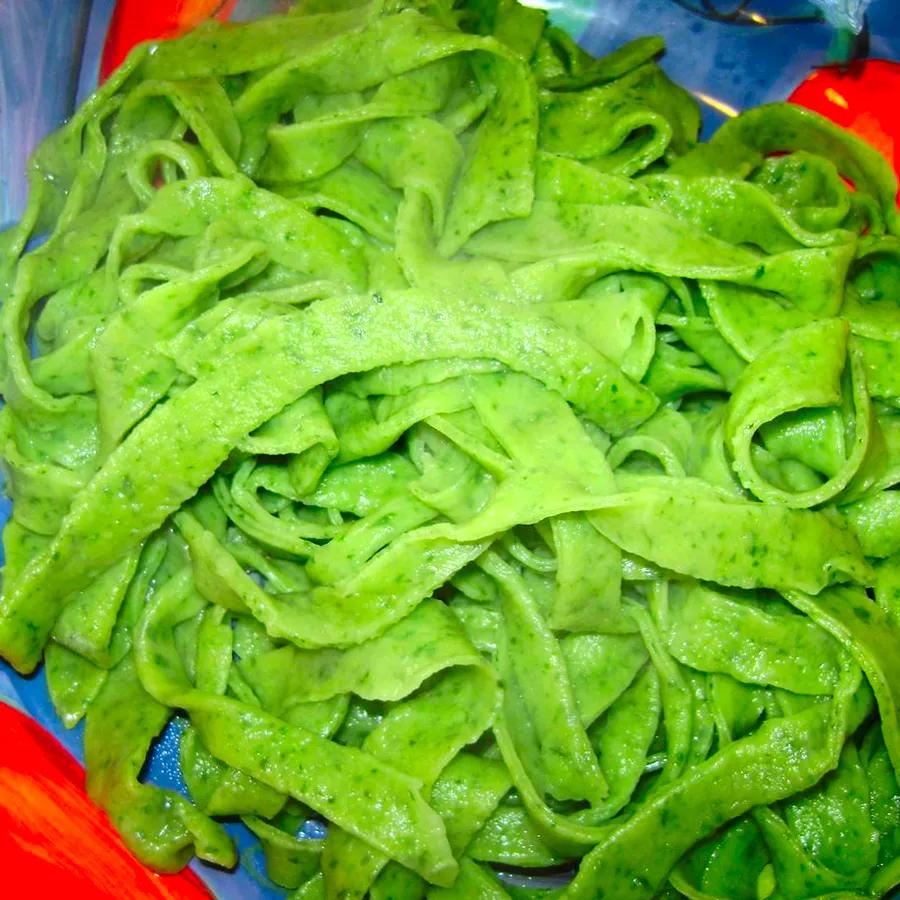 Homemade Spinach Noodles