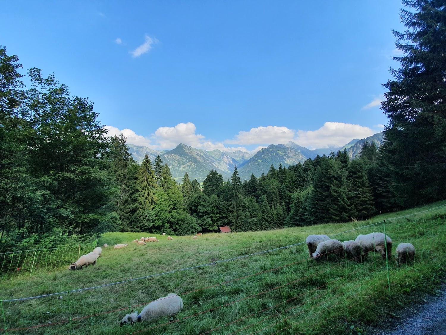 Cover Image for Naturfreundehaus - Freibergsee