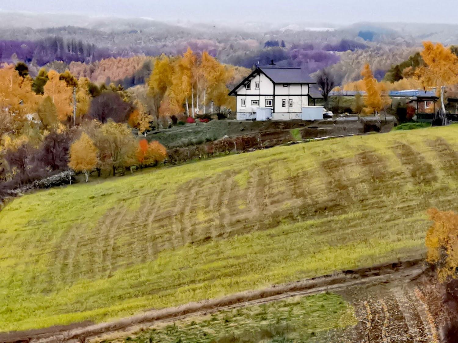 Cover Image for Farm Pension With You