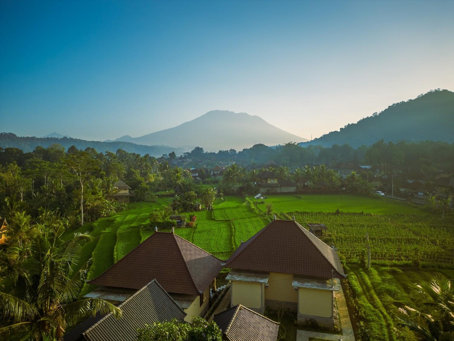Cover Image for The Babakan Accomodations
