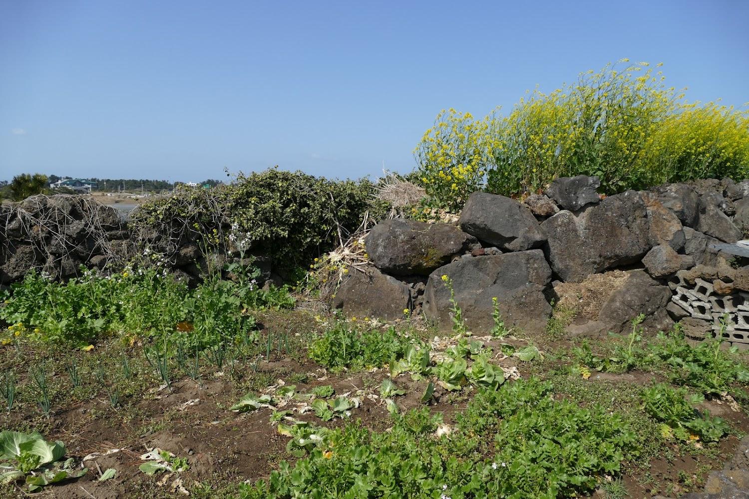 Cover Image for Star Story Pension, (이야기별방)Jongdal