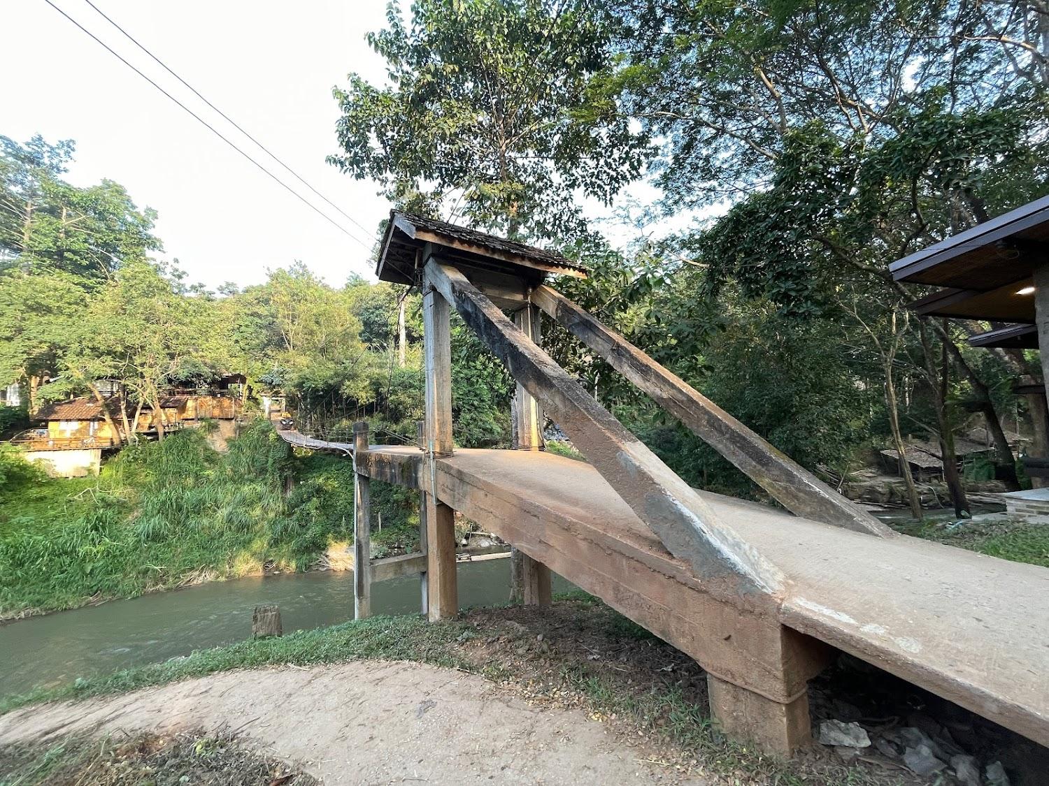 Cover Image for Chiang Mai Elephant Friends