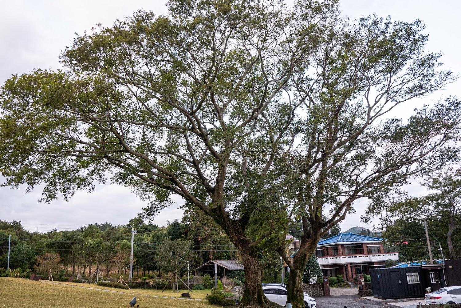 Cover Image for Ảnh At a glance