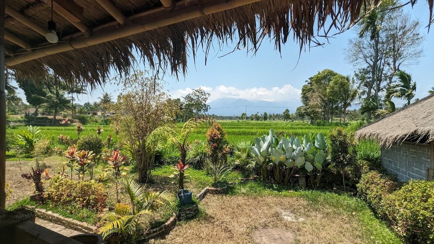 Cover Image for New Rinjani HOME STAY