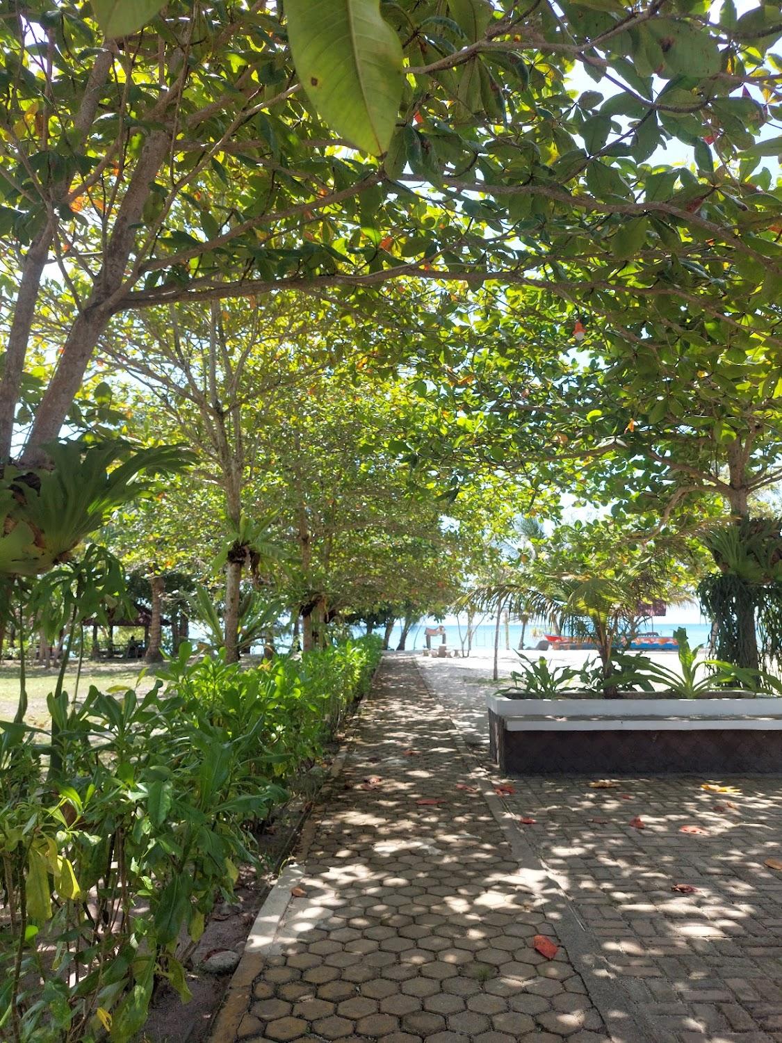 Cover Image for Kampong Dedaun