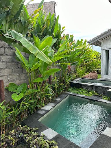 Cover Image for Spaces Bali