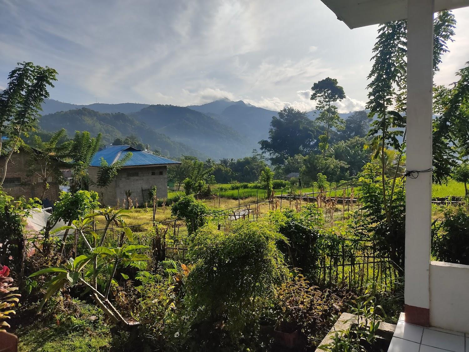 Cover Image for Hidayah Home stay