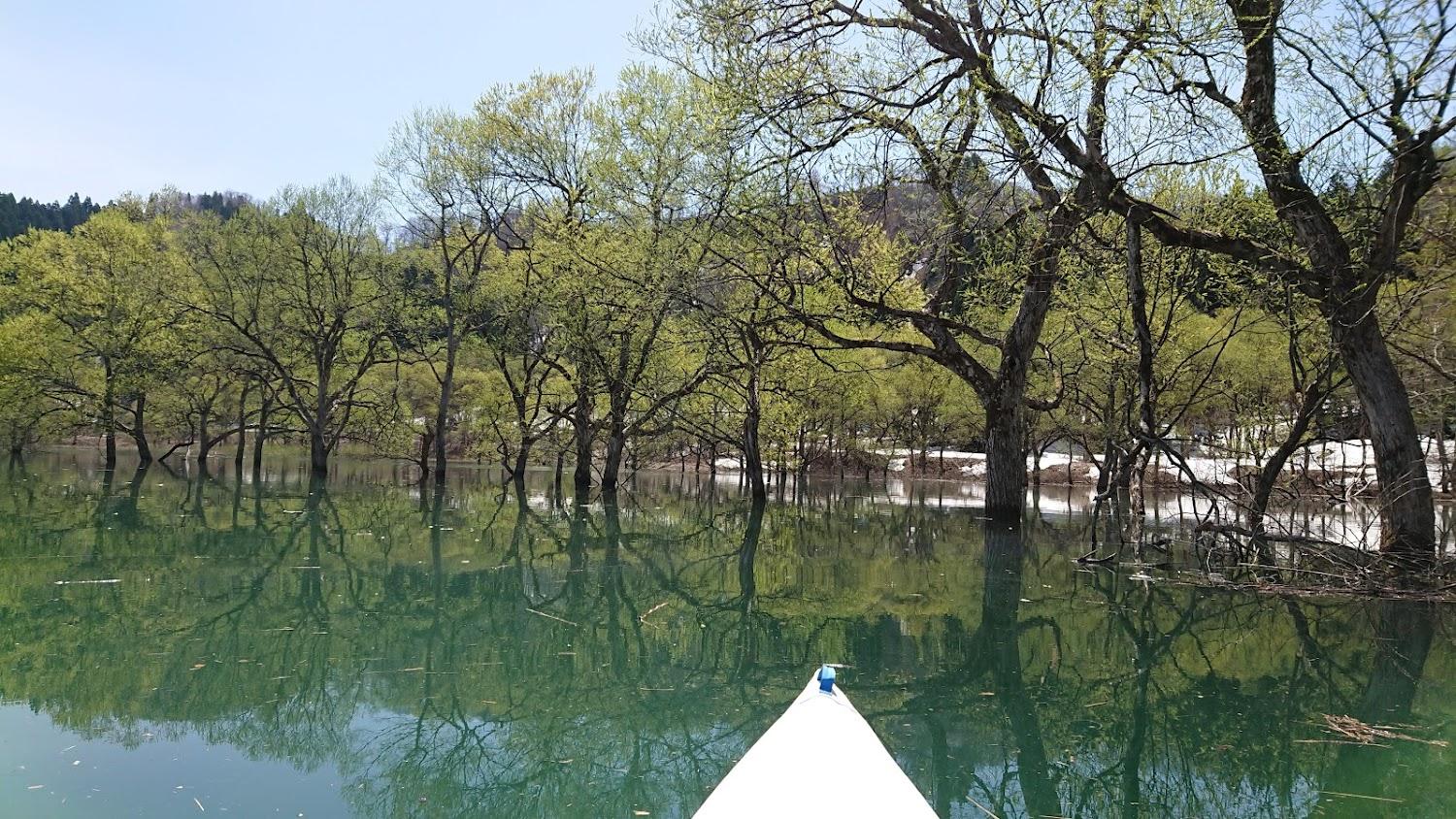 Cover Image for Shirakawaso