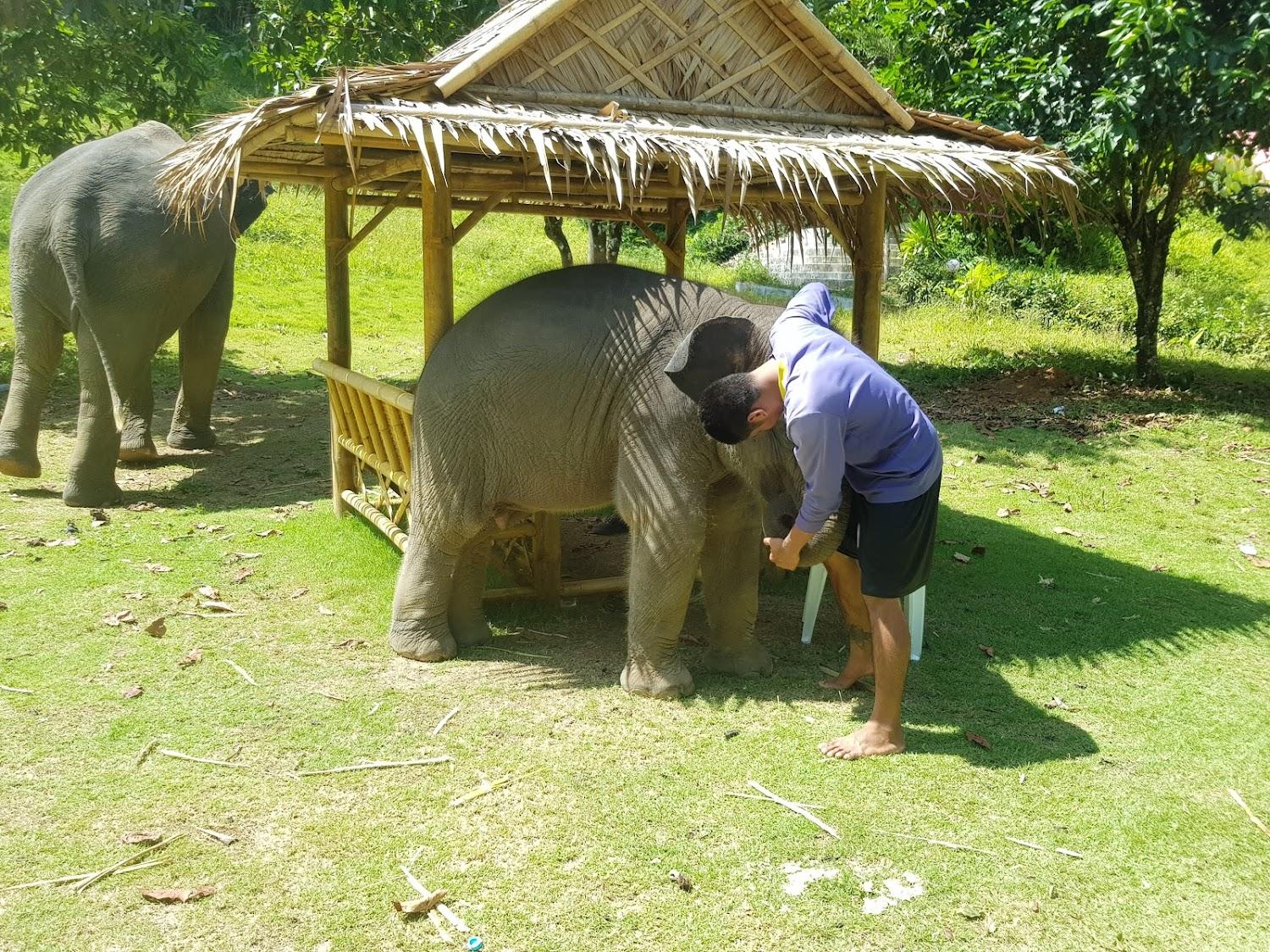 Cover Image for Phuphasrirung Resort