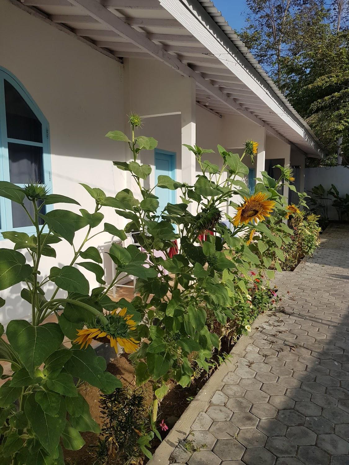 Cover Image for Boogie Hostel