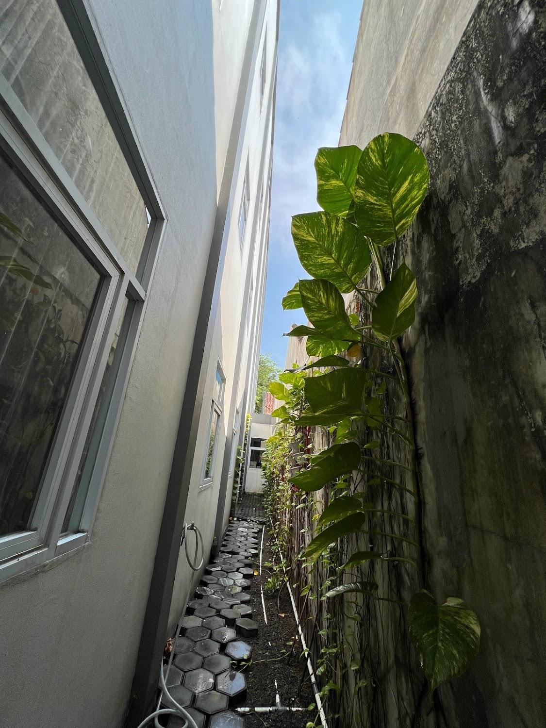 Cover Image for Cotton House Monjali