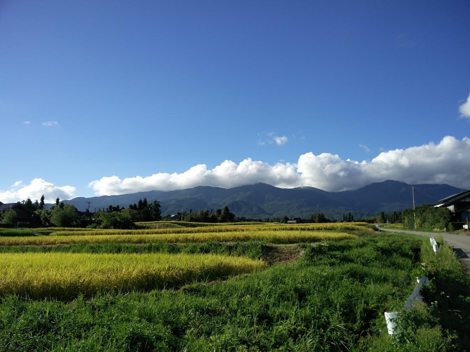Cover Image for Tokaen