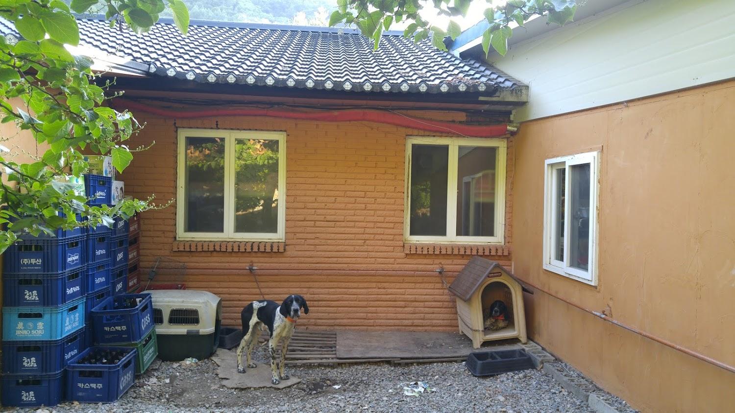 Cover Image for 뇌운산장