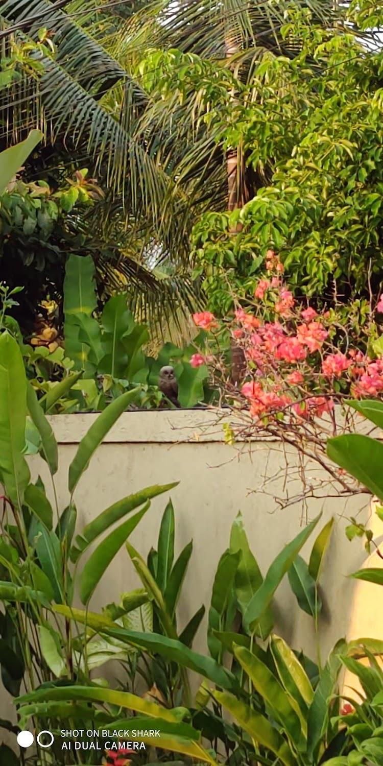 Cover Image for Villa Tavatimsa