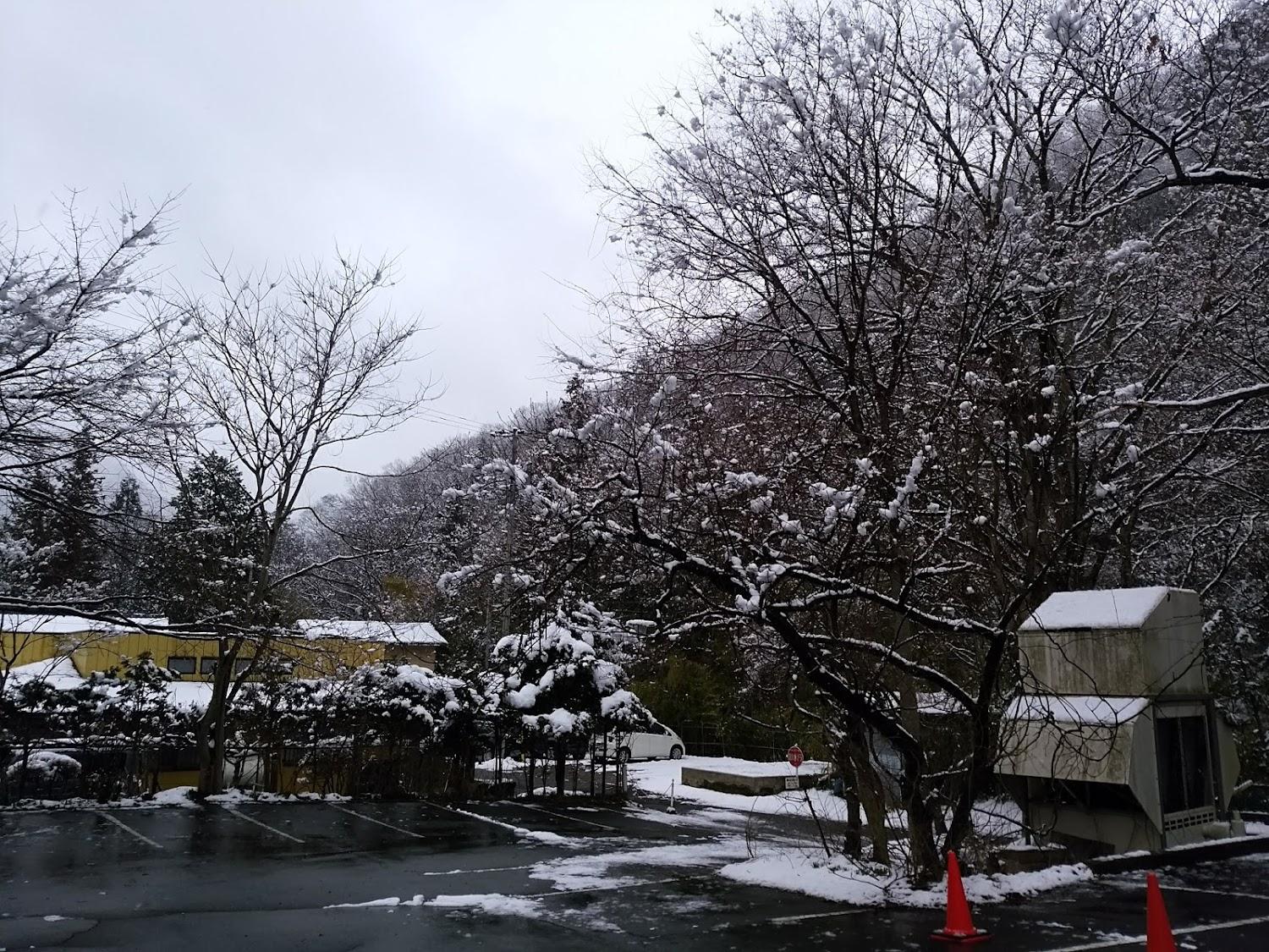 Cover Image for Tsuruya