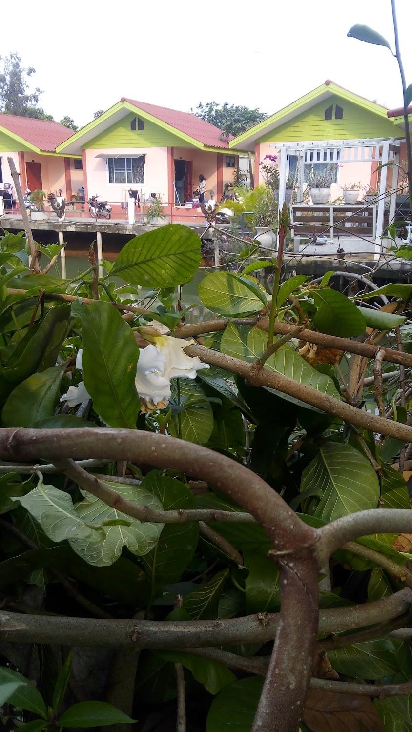 Cover Image for บ้านภูอันดา