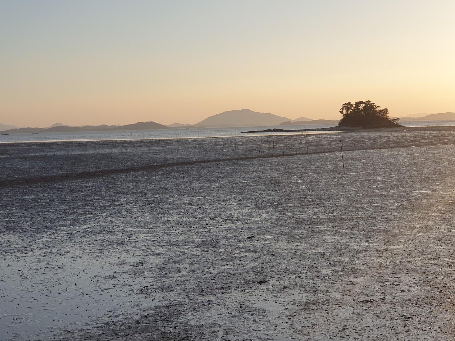 Cover Image for Nolsigpum