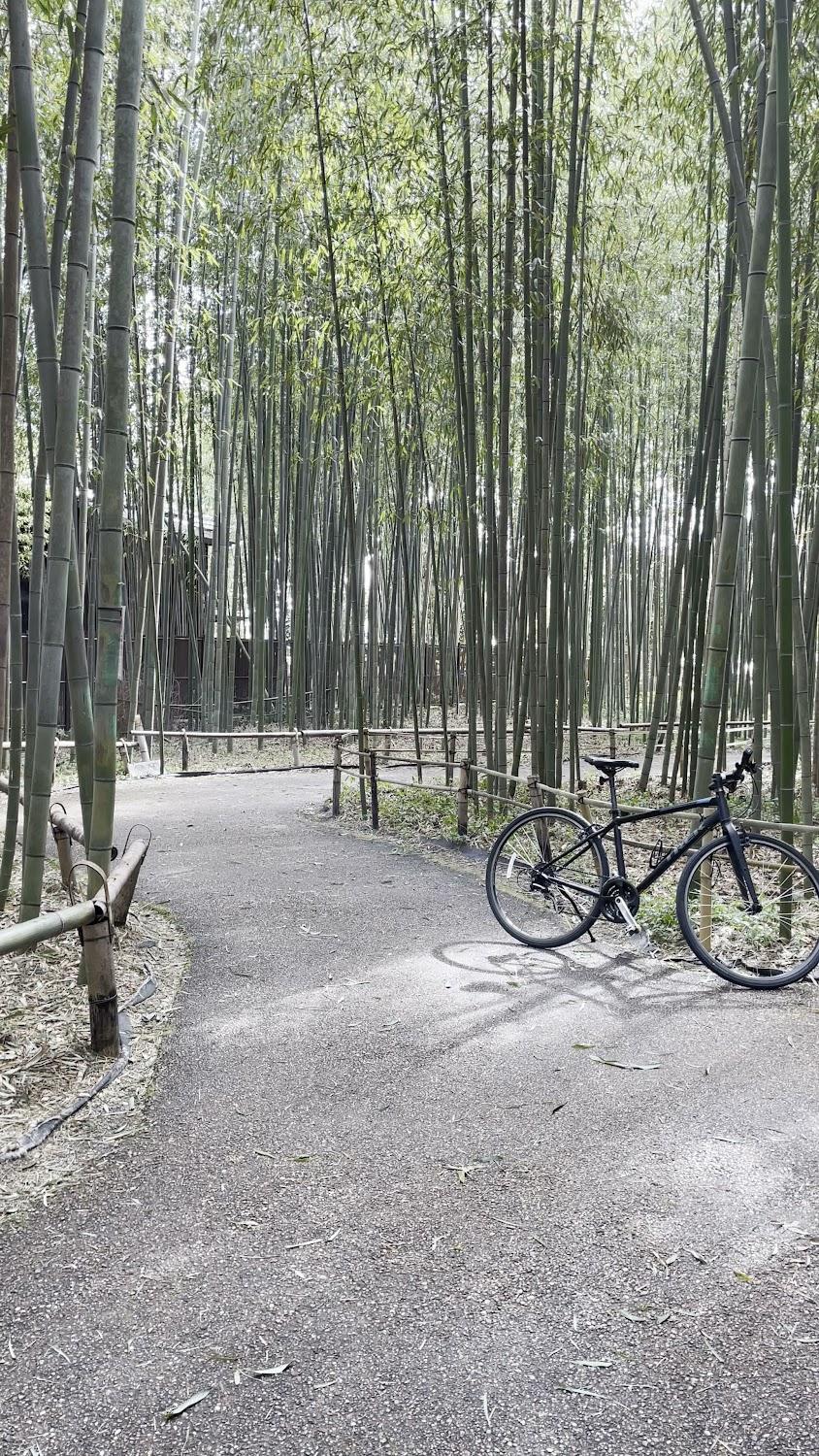Cover Image for FUJITAYA BnB Bike&Yoga