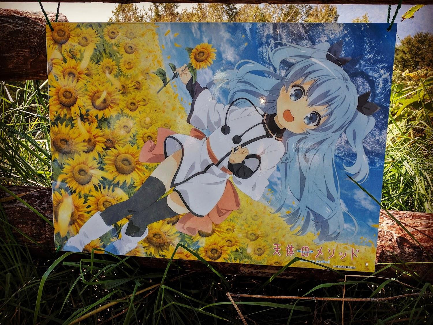 Cover Image for Mori to Ki no Sato Center