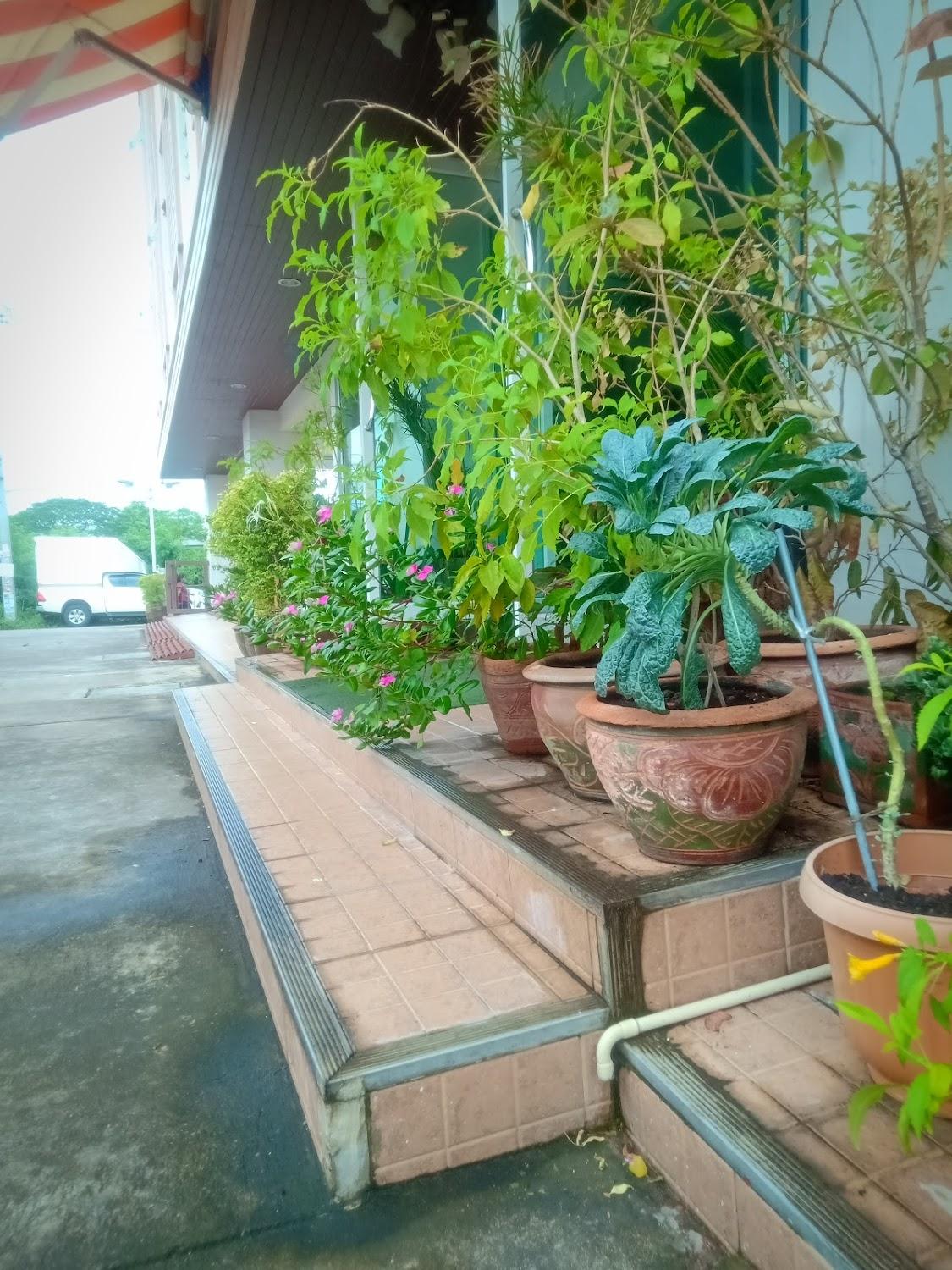 Cover Image for แบริ่งพลัสอพาร์ทเม้นท์
