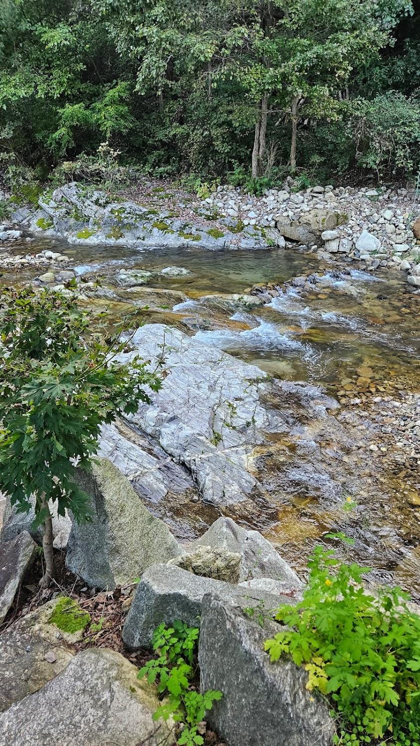Cover Image for 펜션명문