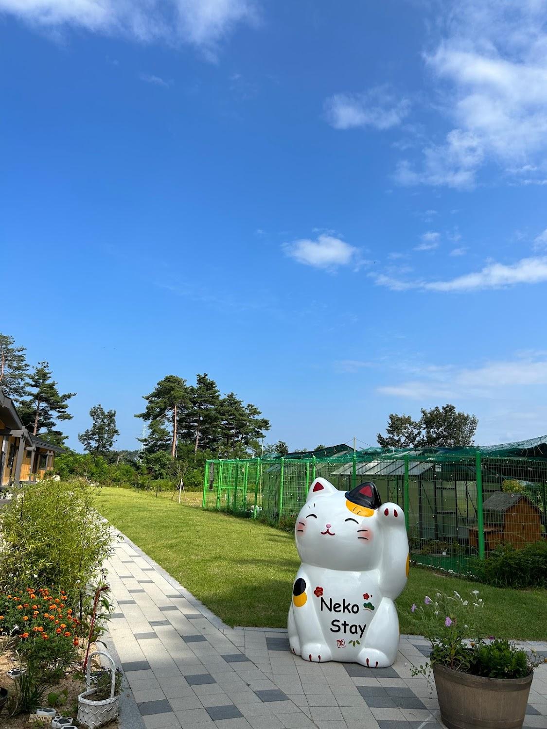 Cover Image for 네코스테이